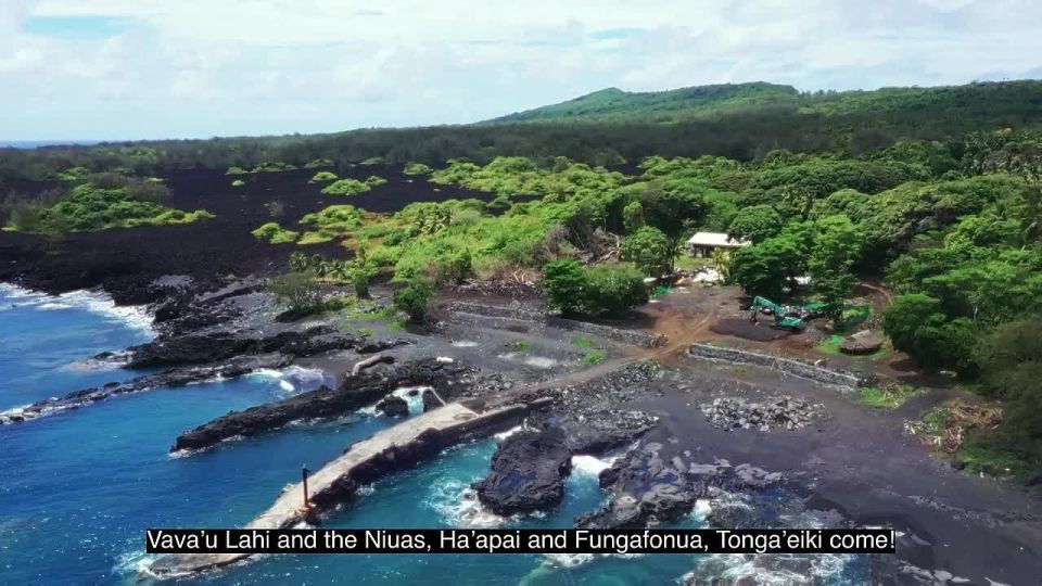 20        (   ,        )