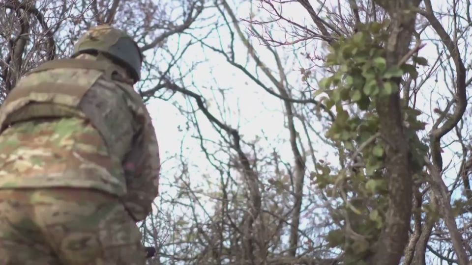    ,                    ,      ...