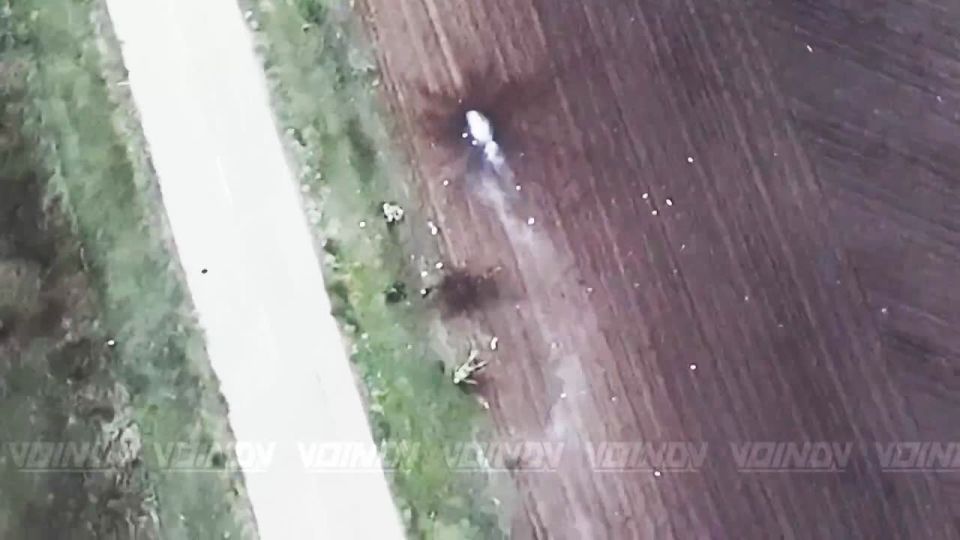      &quot; &quot;    &quot;  &quot;     