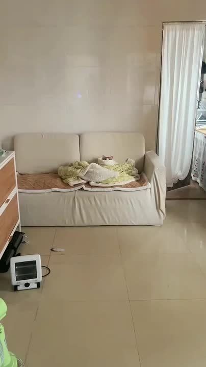    .  ,  ?  ,   ?      Telegram      