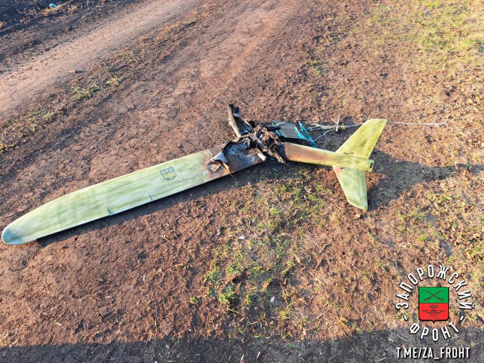 ��������� ������ ���� ���������� �� ����������� �����������