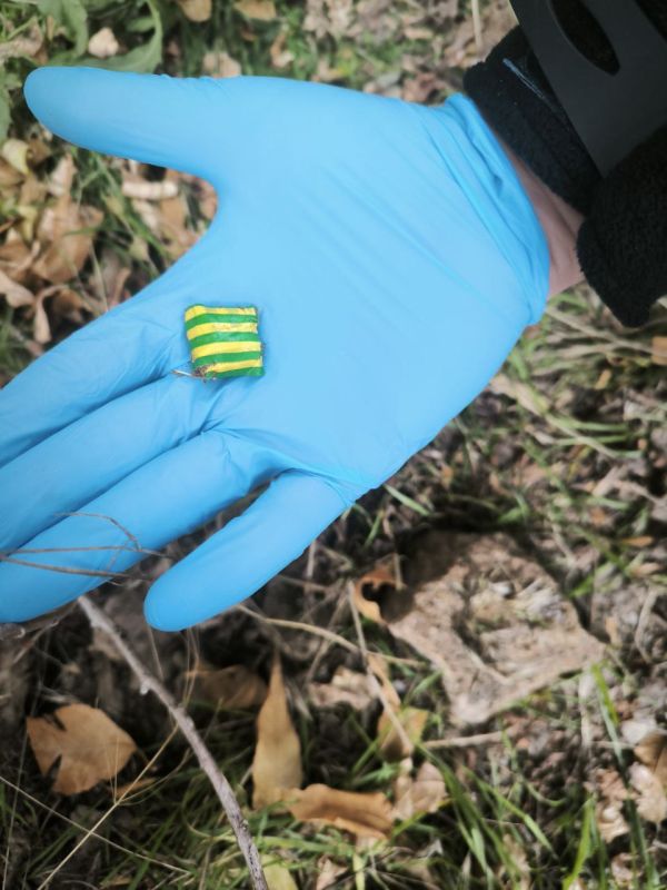 Сотрудники полиции Запорожской области изъяли запрещенные вещества