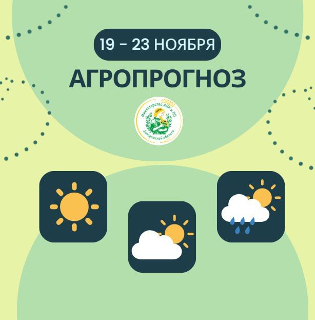 Андрей Сигута: Агропрогноз | 19 – 23 ноября