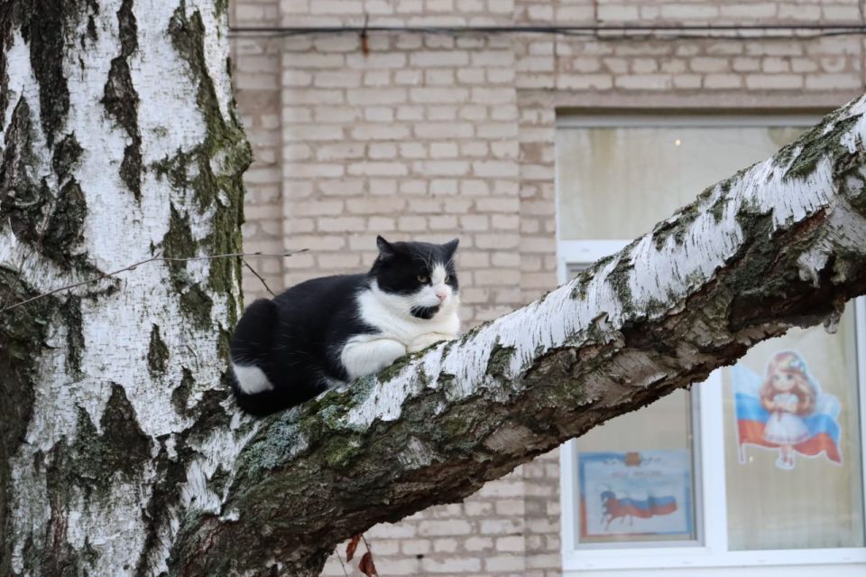 Доброе утро. А вы знали, что сегодня