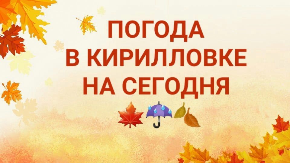 ������� ������ �� �������. � ������������ �������� ��������� �������, 19 ������, ���������: ���� -- +10 �...+14 �