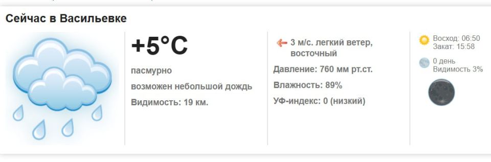 Сегодня, 20 ноября 2025 года в Васильевке пасмурно, возможен небольшой дождь