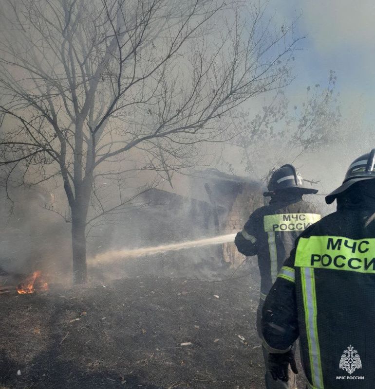 Оперативная информация за сутки