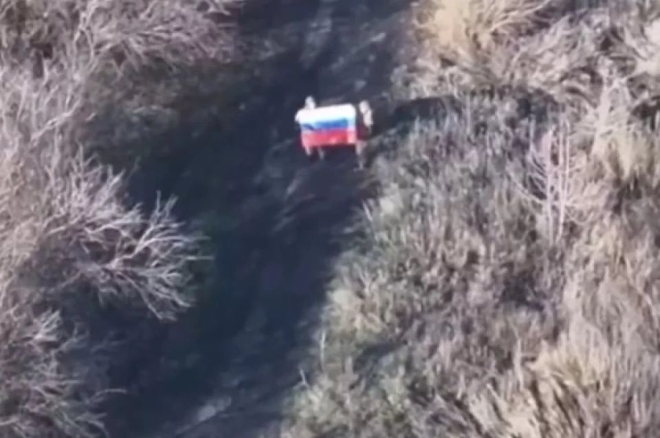 Сводка СВО за 20 ноября. Бои за Покровск (Красноармейск) вошли в свою завершающую стадию