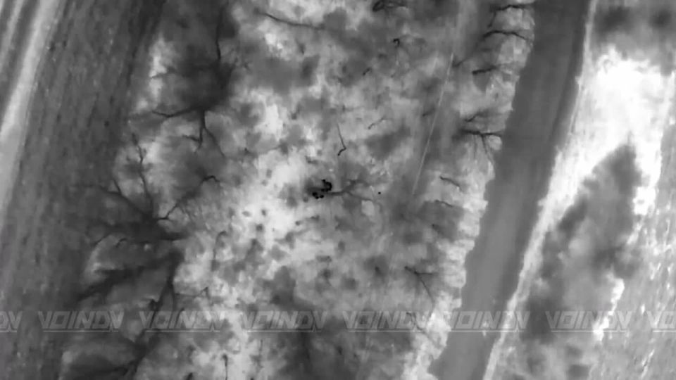   5    &quot;&quot;       ,           