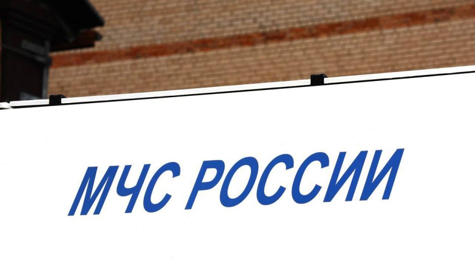 Оперативная информация за сутки