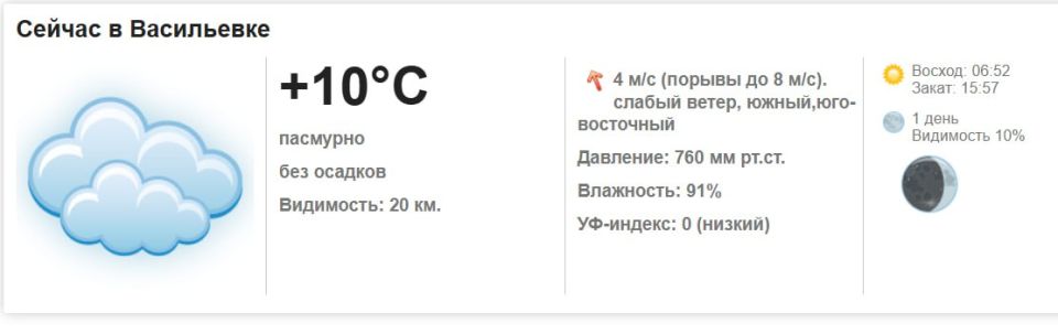 Сегодня, 21 ноября 2025 года в Васильевке пасмурно, без осадков