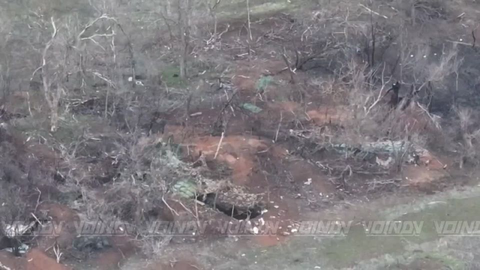   35    &quot;&quot;        ,   