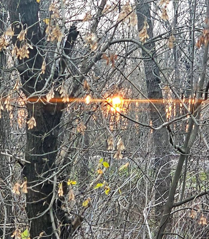 С добрым и радостным утром! Пусть начало этого дня станет для вас особенно удачным и принесло много радостных событий, хороших новостей, приятных сюрпризов, больших успехов