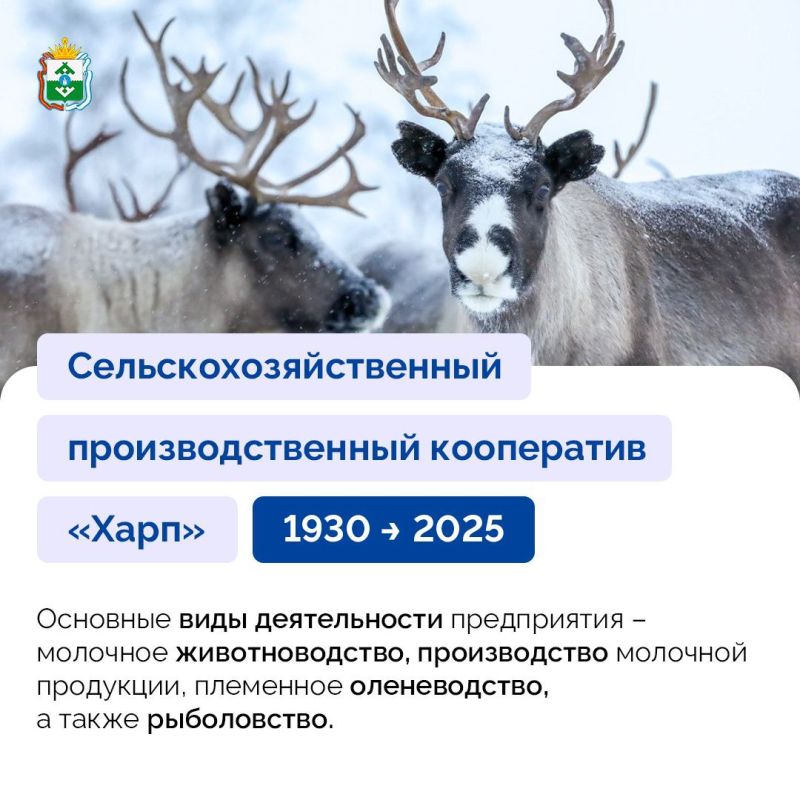  :  &quot;&quot; -  ,    95      