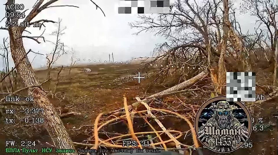    &quot;&quot; 1455         .