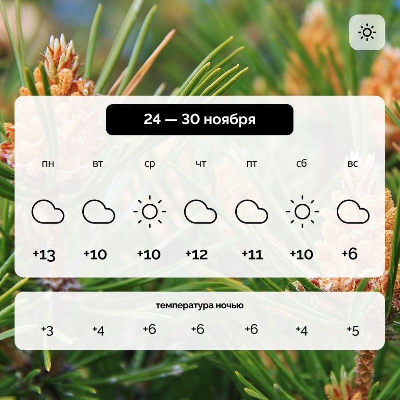 ������ � ����������� ������� �� 24 � 30 ������