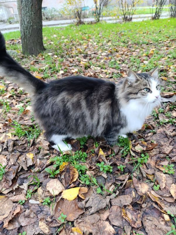 Желаем вам доброго утра! Пусть новый день начинается легко и с прекрасным настроением! Желаем безоблачного дня, достижения поставленных целей, комфорта и радости!