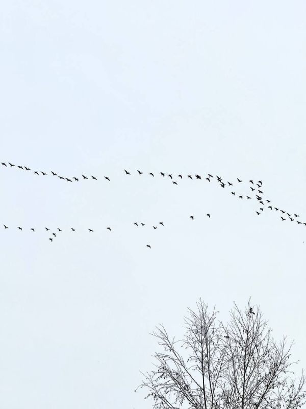 У природы все идет своим чередом