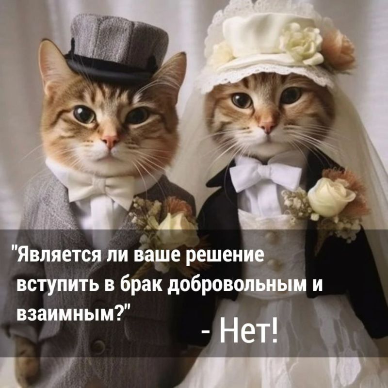 ��� �����, ���� � ����� �������� "���"?