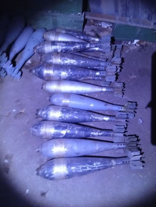 Сотрудниками полиции Запорожской области был выявлен крупный схрон с боеприпасами