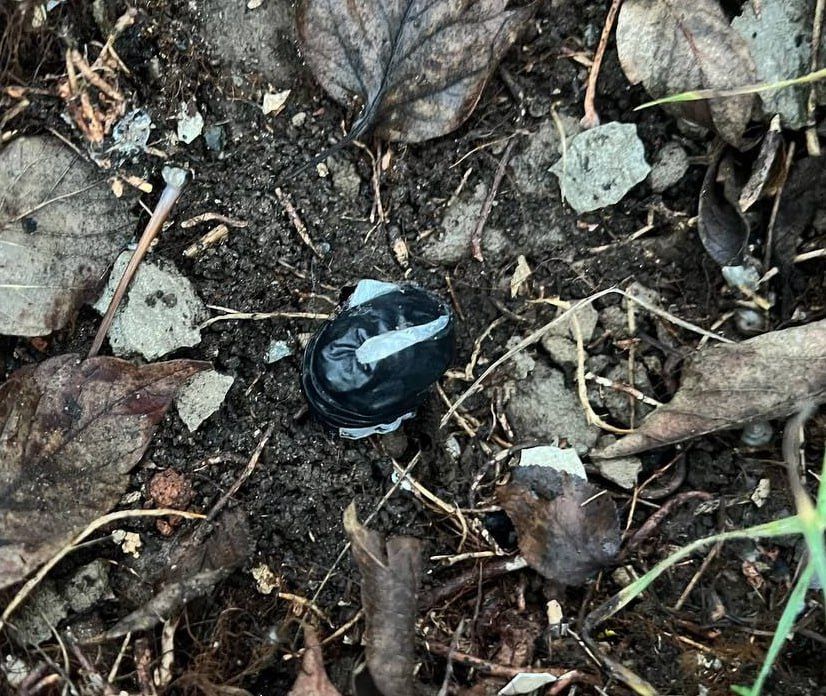 В Мелитополе сотрудники полиции задержали закладчика синтетических наркотиков