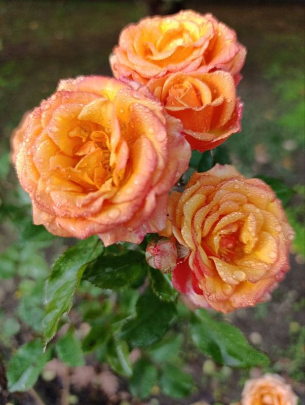 С добрым утром!. Начнем день с улыбки и чашки кофе