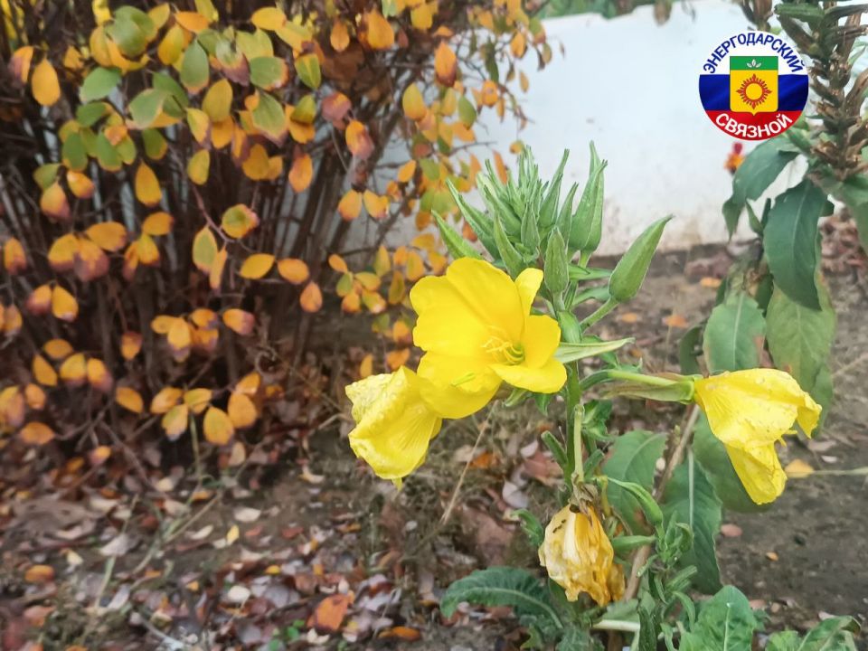  , !.     ,     !     ,       