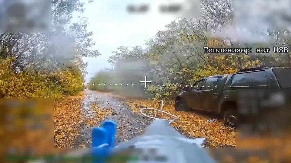  : ,                &quot;&quot;