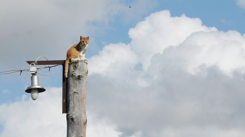 Прекращена подача электроэнергии в населённых пунктах Херсонской области