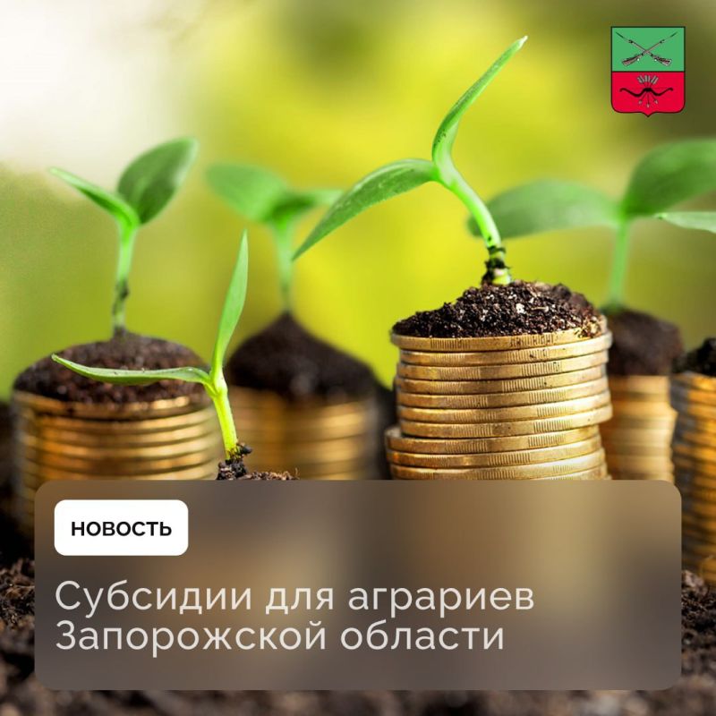 Как подать заявку на субсидию для сельхозпроизводителей?