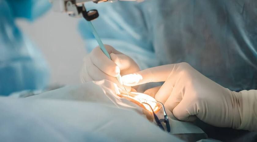 Более 200 жителей Запорожской области сделали операции на глаза в Краснодаре