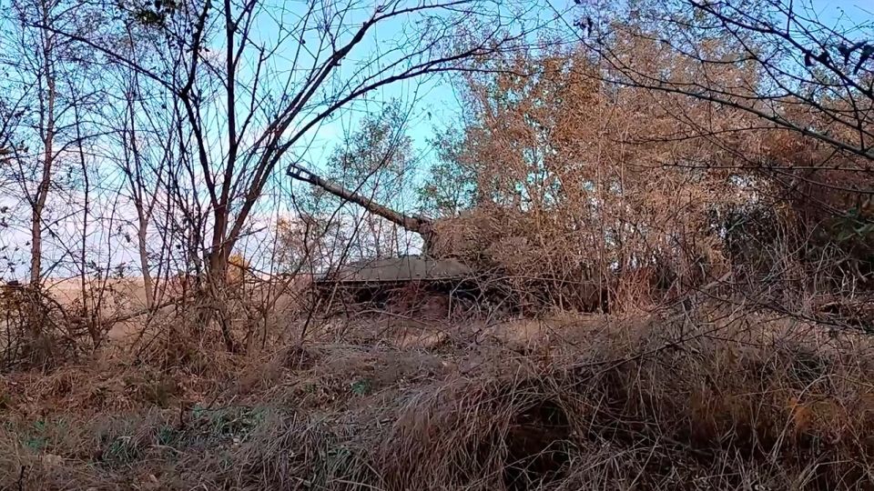 Расчеты самоходок ГрВ «Восток» ударили по живой силе врага в зоне СВО