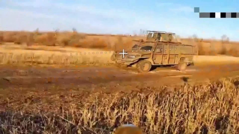   14      &quot;&quot;    (   -)   