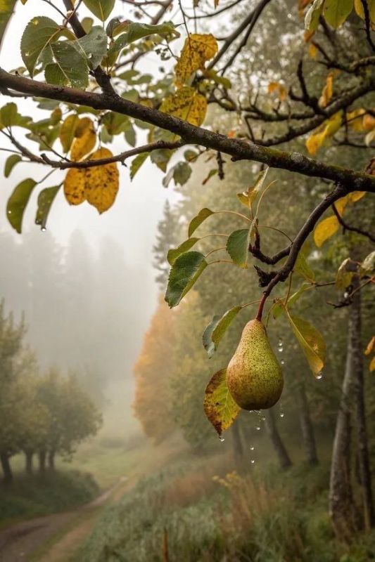С добрым утром!