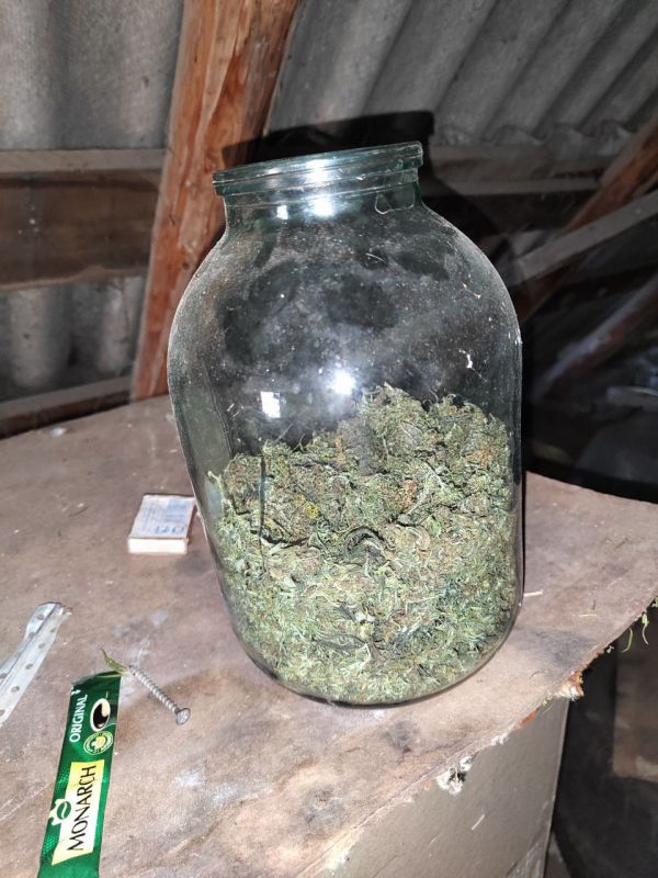 Сотрудники полиции Запорожской области изъяли запрещенные вещества