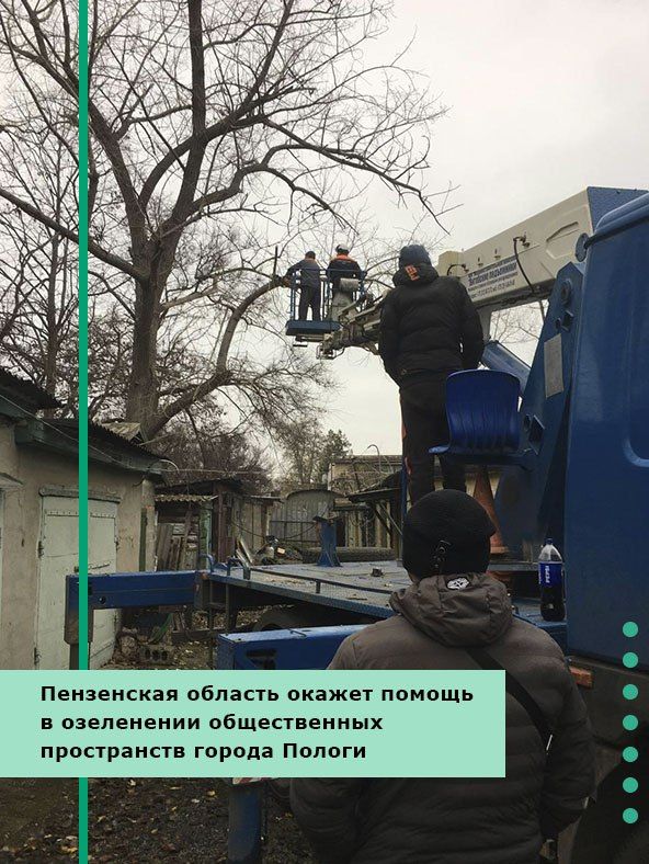 Пензенская область окажет помощь в озеленении общественных пространств города Пологи