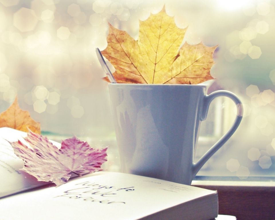 Доброе утро. А вы знали, что сегодня