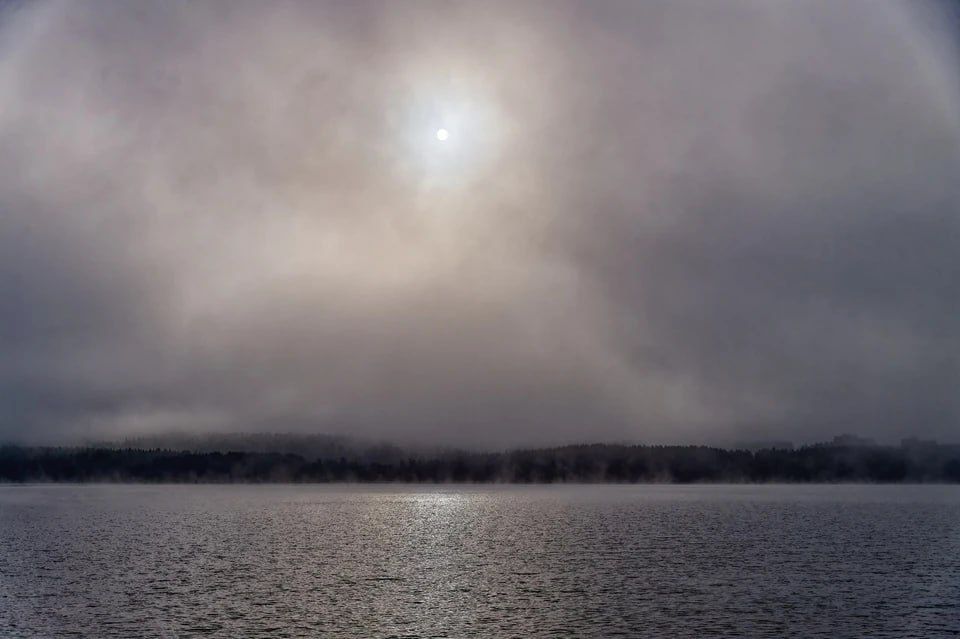 Поутру 27 ноября в Запорожской области будет туман