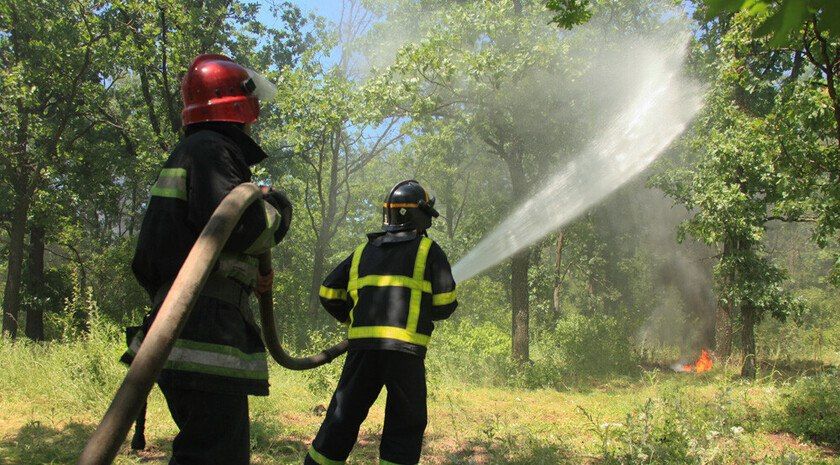 В 2026 году Минприроды России издаст «Белую книгу» экологических преступлений Украины