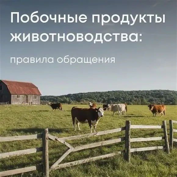 2  2025     ƻ             2026 