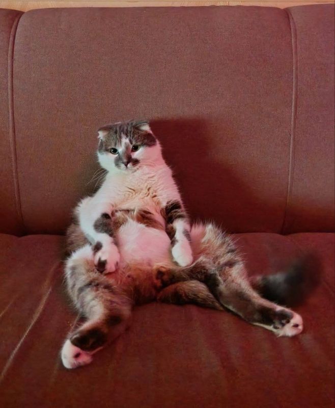 !.       -     !     ,       ,     !     ...