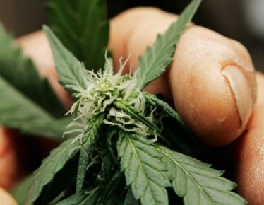 4   5 .    -                5  