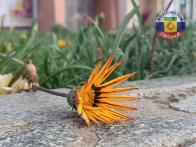 Суббота – день, когда можно проснуться без будильника и неспешно потягиваться в постели, наслаждаясь каждой минутой свободы