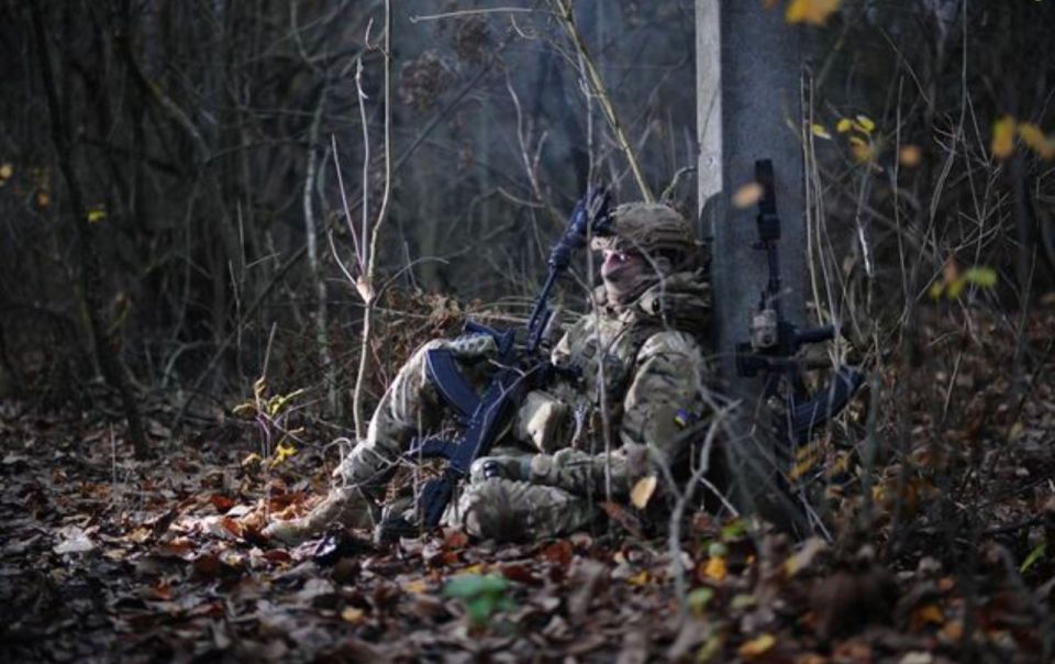 От испуга скушали друг друга