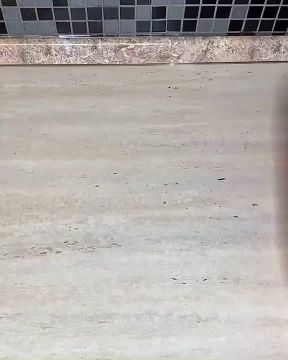 1111126. 16261125.     :