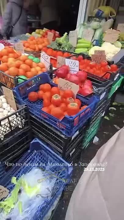 Обзор цен на рынке "Анголенко" в Запорожье