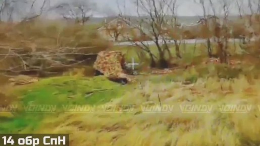 Уничтожение украинской гаубицы Д-30 под Гуляйполем Запорожской области