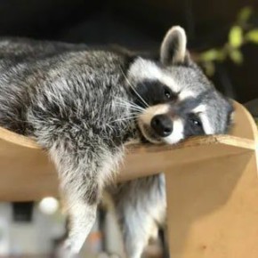 Доброй ночи, дорогие подписчики! Доброй ночи, Запорожье!