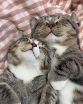 Вот и пролетели выходные. Завтра на работу, сегодня ложимся раньше