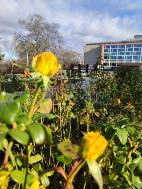 Доброе утро!!. Человек без улыбки — это струны без скрипки, это море без чайки, это дом без хозяйки, это кот без хвоста, это хвост без кота